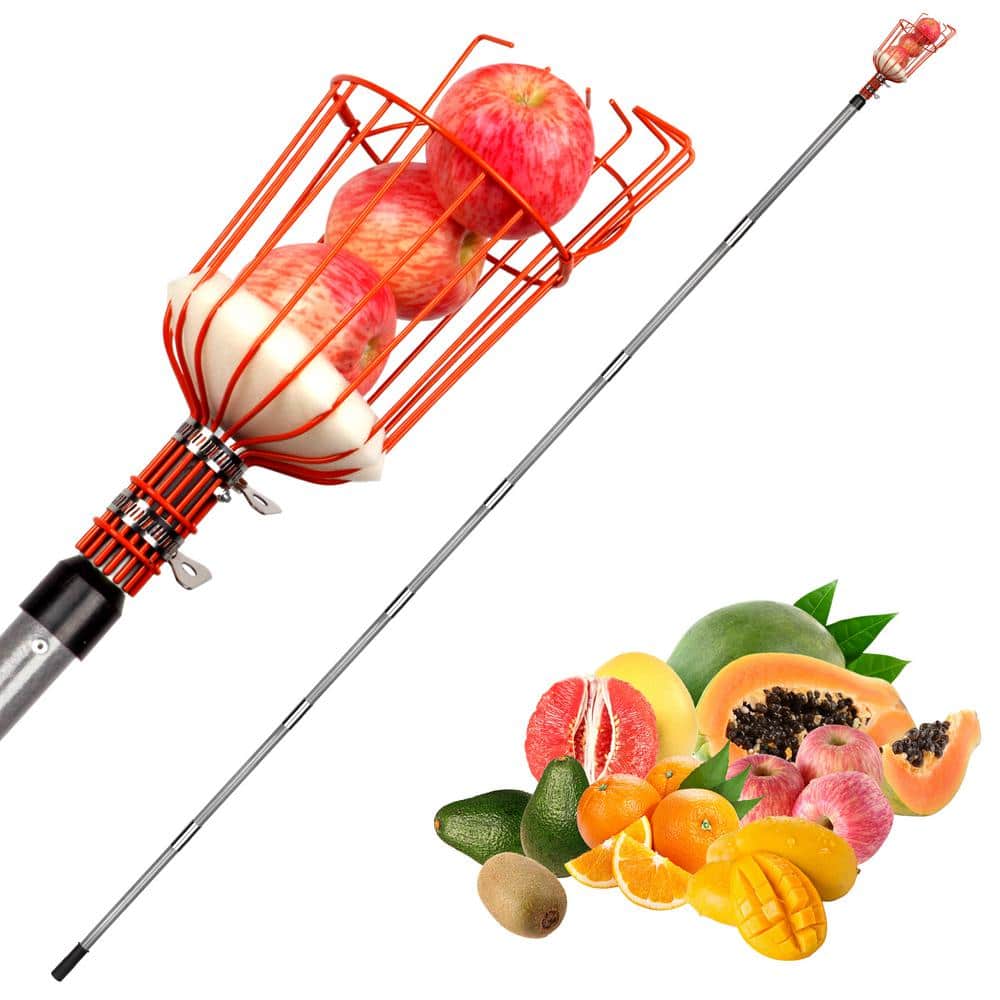 263.8 in. Stainless Steel Handle Fruit Picker - Hercitys