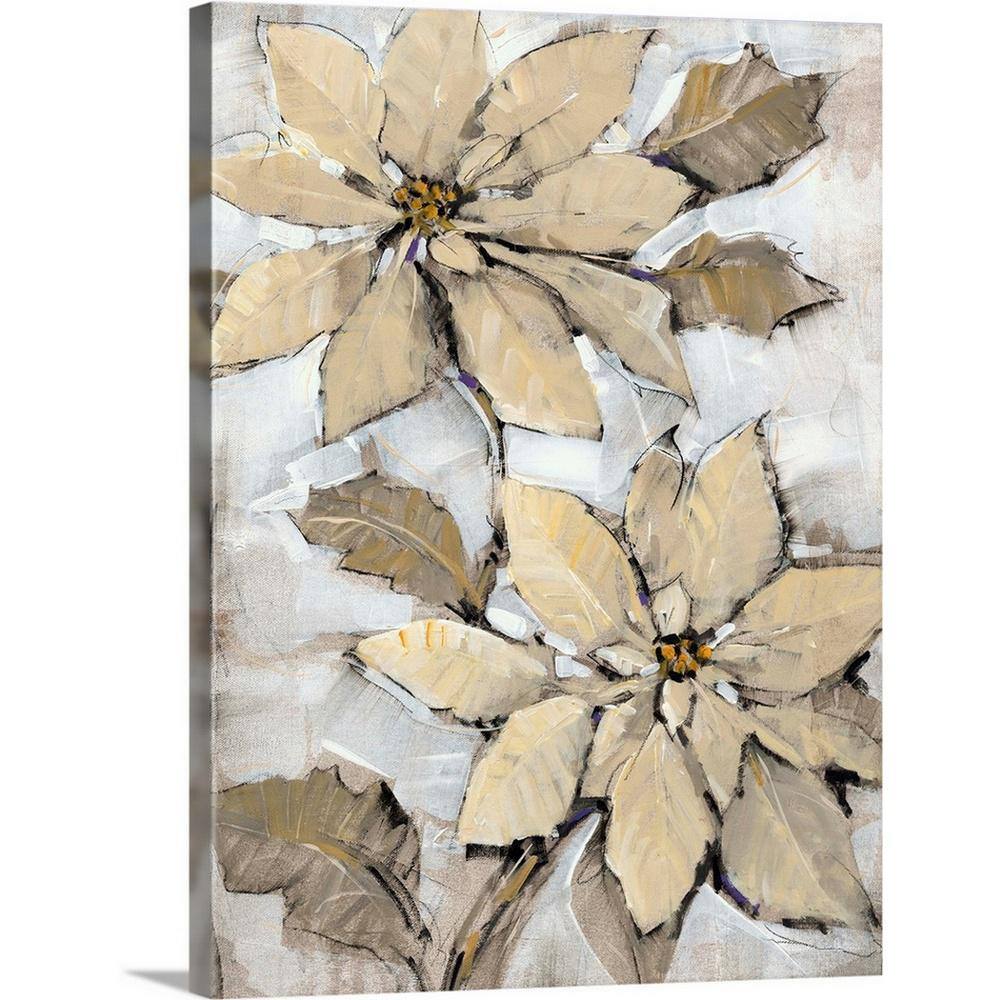 18 in. x 24 in. Poinsettia Study II by Tim O’Toole Canvas Wall Art - Hercitys