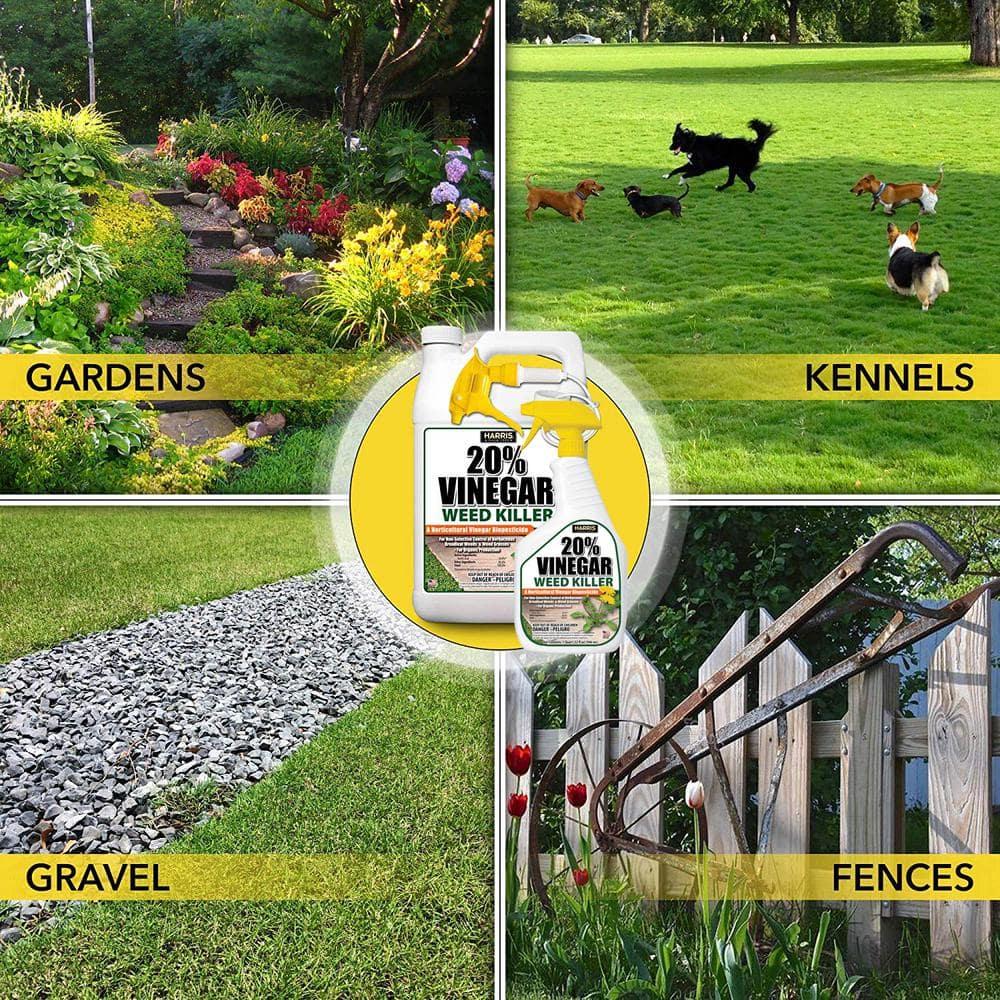 32 oz. 20% Vinegar Weed Killer - Hercitys