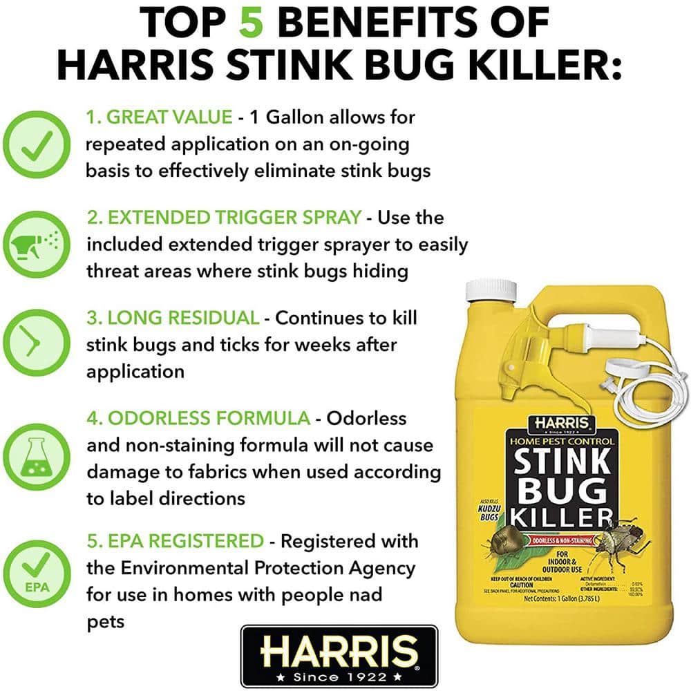 1 Gal. Stink Bug Killer (2-Pack) - Hercitys