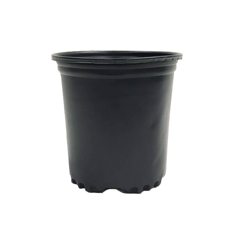 1/2 Gal. Plastic Nursery Pots (100-Pack) - Hercitys