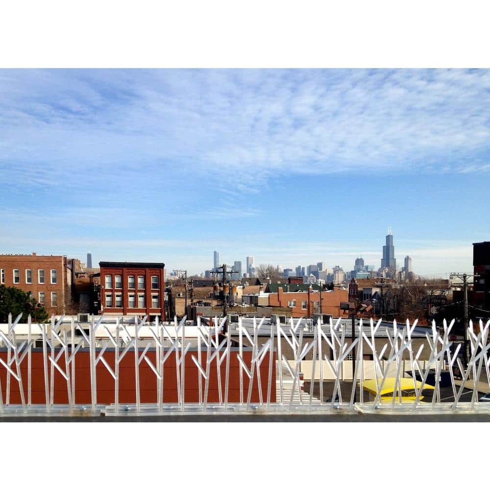 100 ft. Plastic Bird Spikes - Hercitys