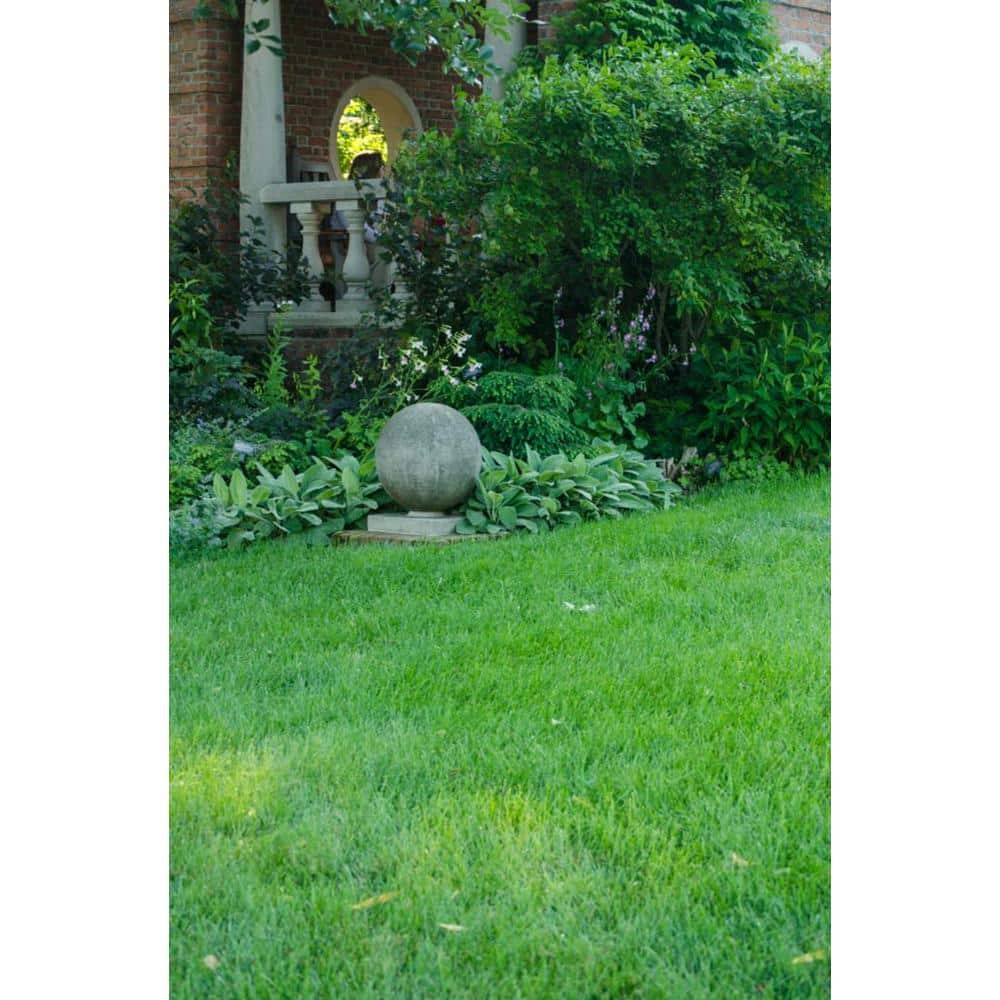5 lbs. Shade Champ Grass Seed Mixture - Hercitys