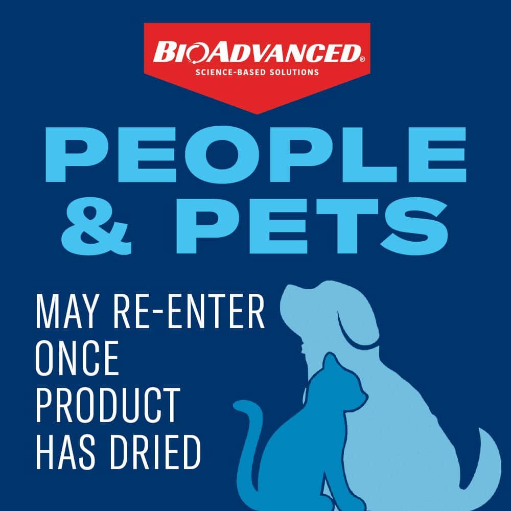 1 Gal. Concentrate Carpenter Ant and Termite Killer Plus - Hercitys