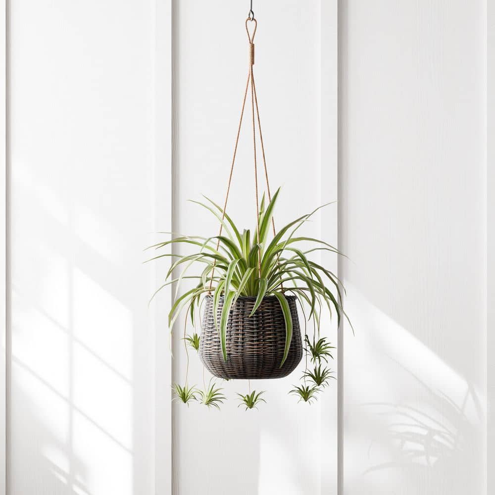 13 in. W Indoor Outdoor Brown Resin Rattan Hanging Basket Planter with Black Accents - Hercitys