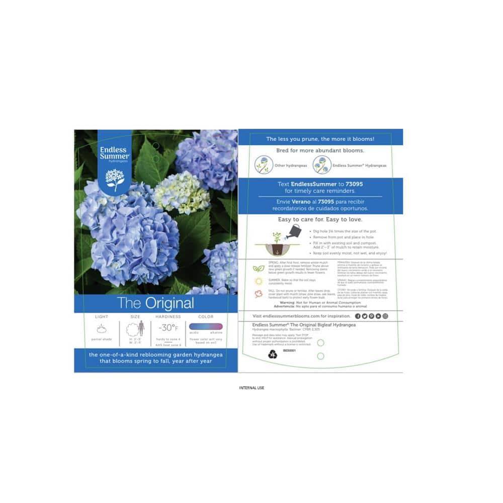 #3 Container Endless Summer Hydrangea Flowering Shrub Single Plant - Hercitys
