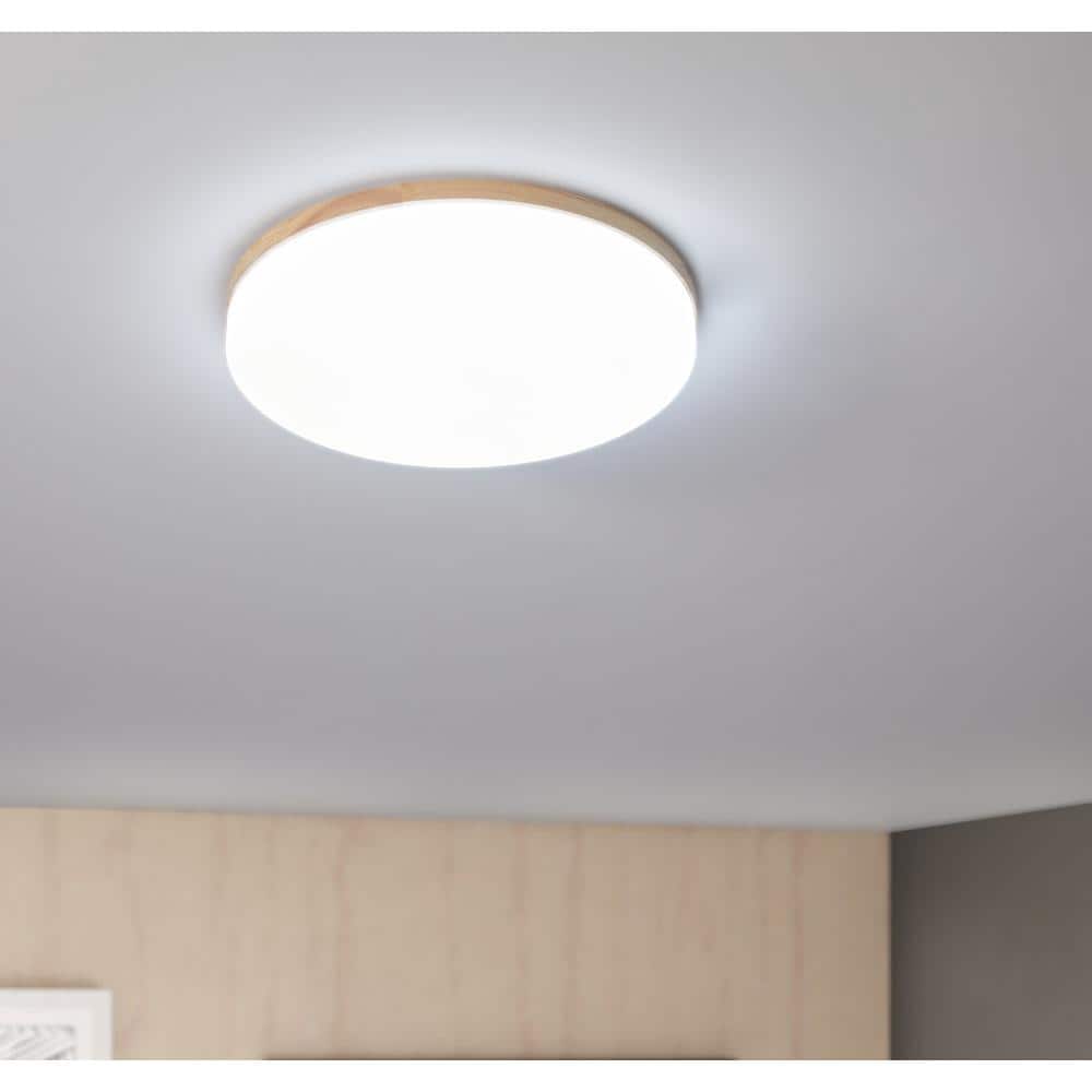 15 in. 1-Light White Creative Design Simple Circle 25-Watt Integrated LED Flush Mount Ceiling Lighting - Hercitys