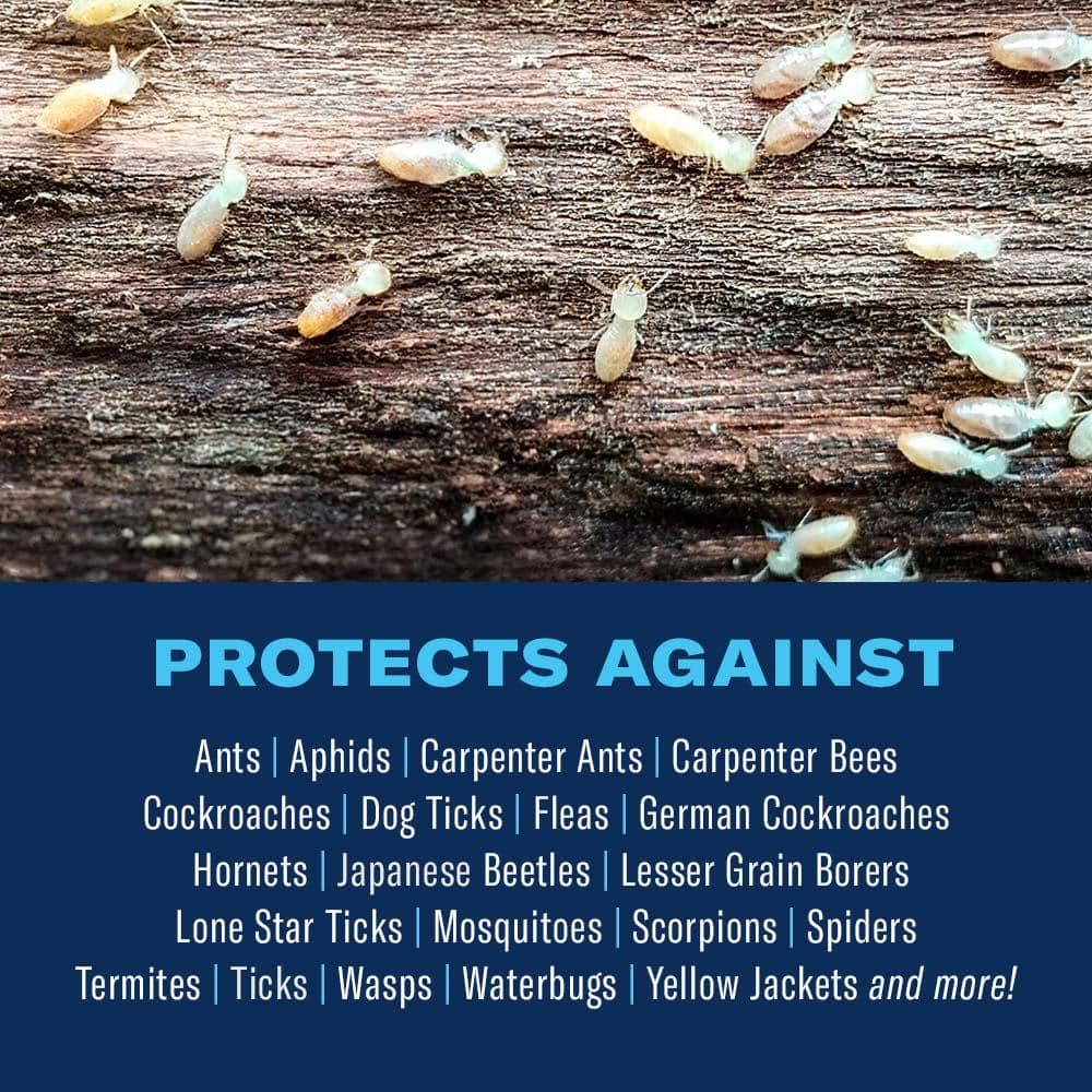 1 Gal. Ready-to-Use Carpenter Ant and Termite Insect Killer Plus - Hercitys