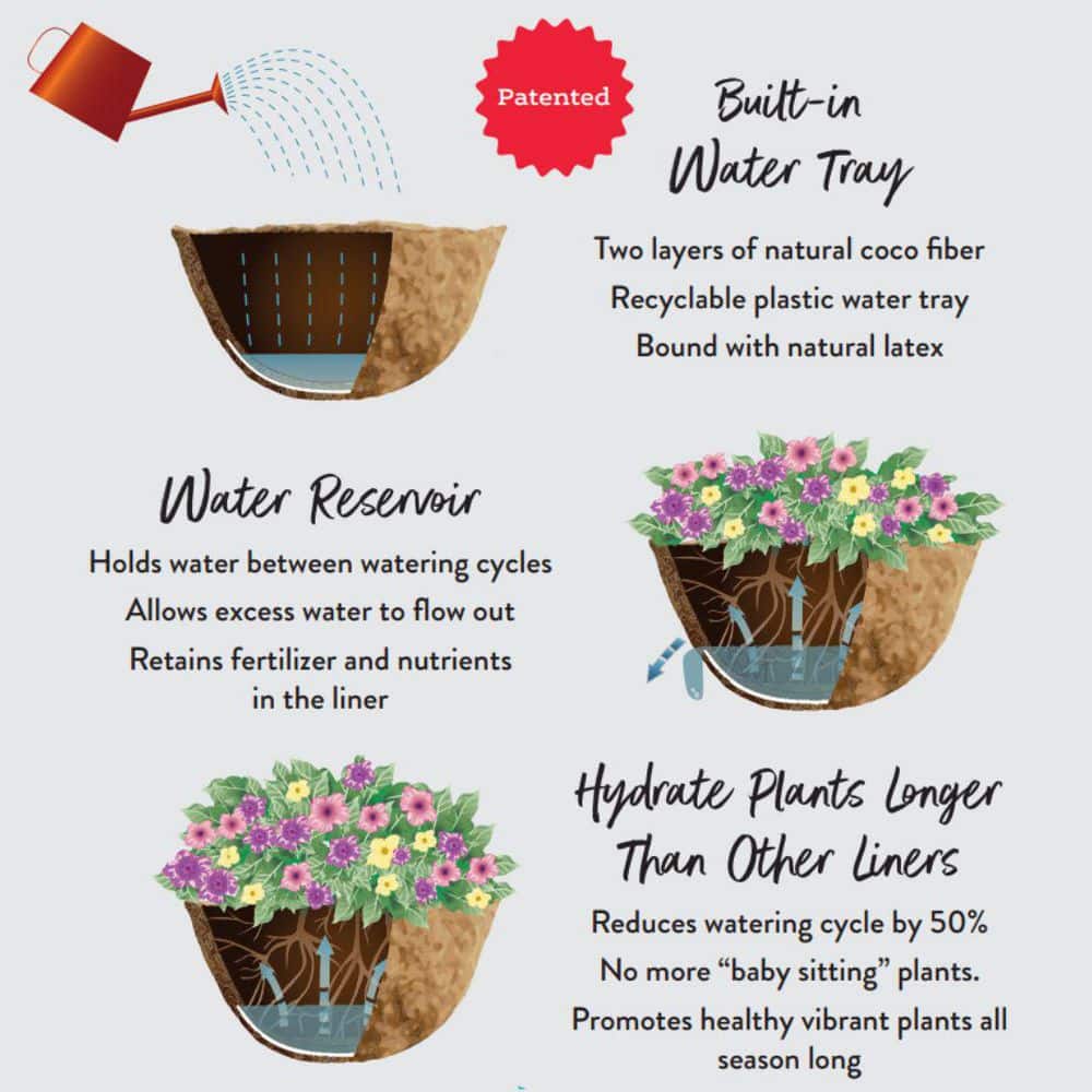 12 in. Steel Devon Hanging Basket with AquaSav Coconut Liner - Hercitys