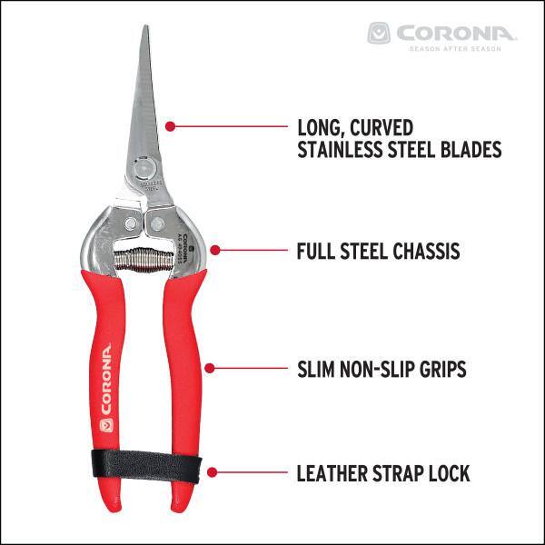 1.75 in. Stainless Steel Long Curved Snips - Hercitys