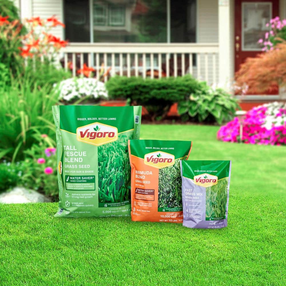 10 lbs. Bermuda Grass Seed Blend with Water Saver Seed Coating - Hercitys