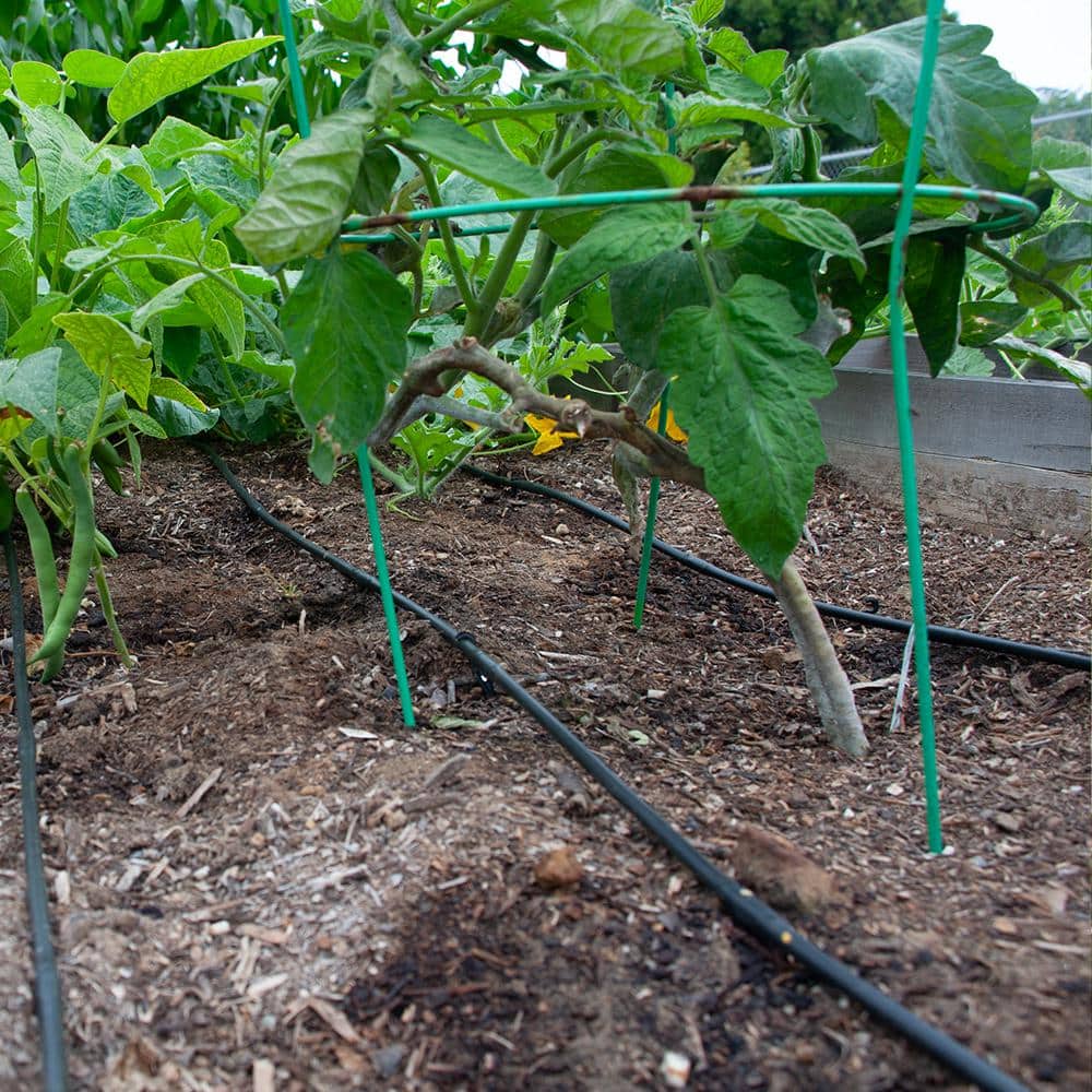 1/4 in. x 50 ft. Soaker Hose Dripline - Hercitys