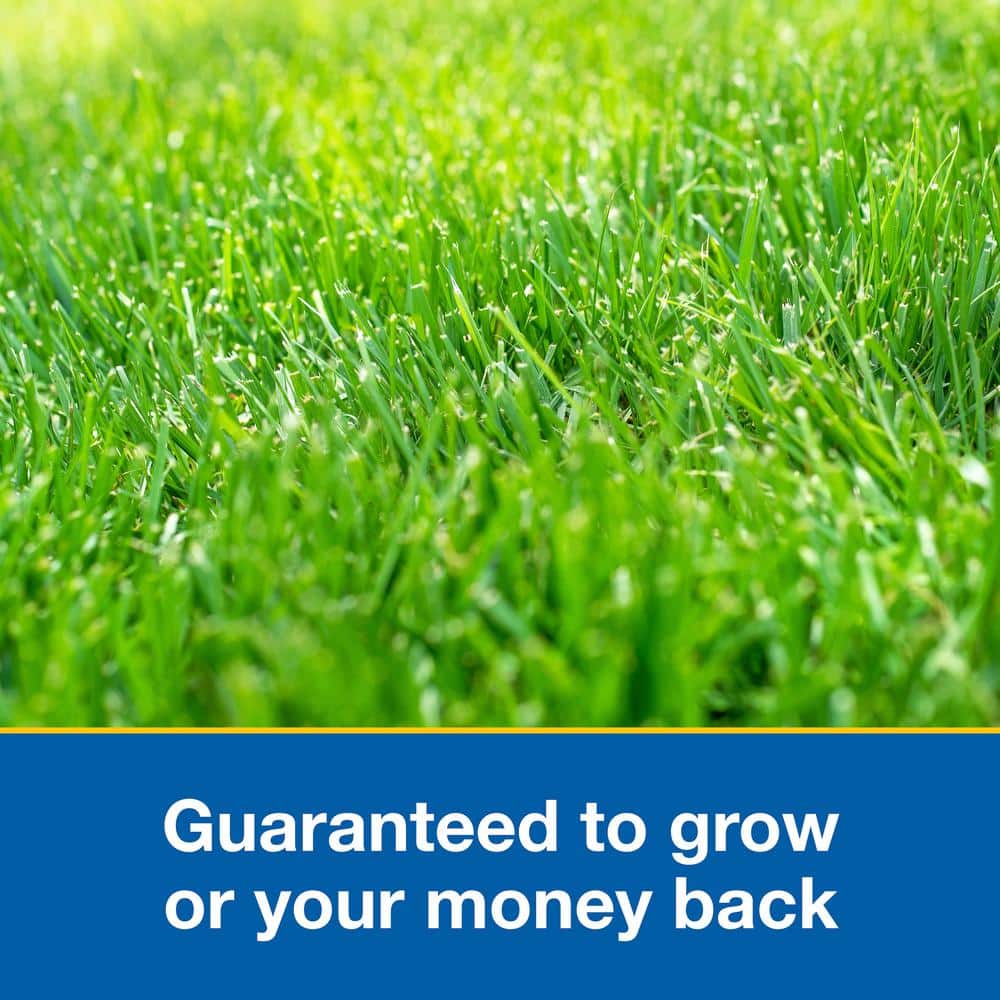 10 lb. Patch and Repair Sun and Shade Grass Seed Mix - Hercitys