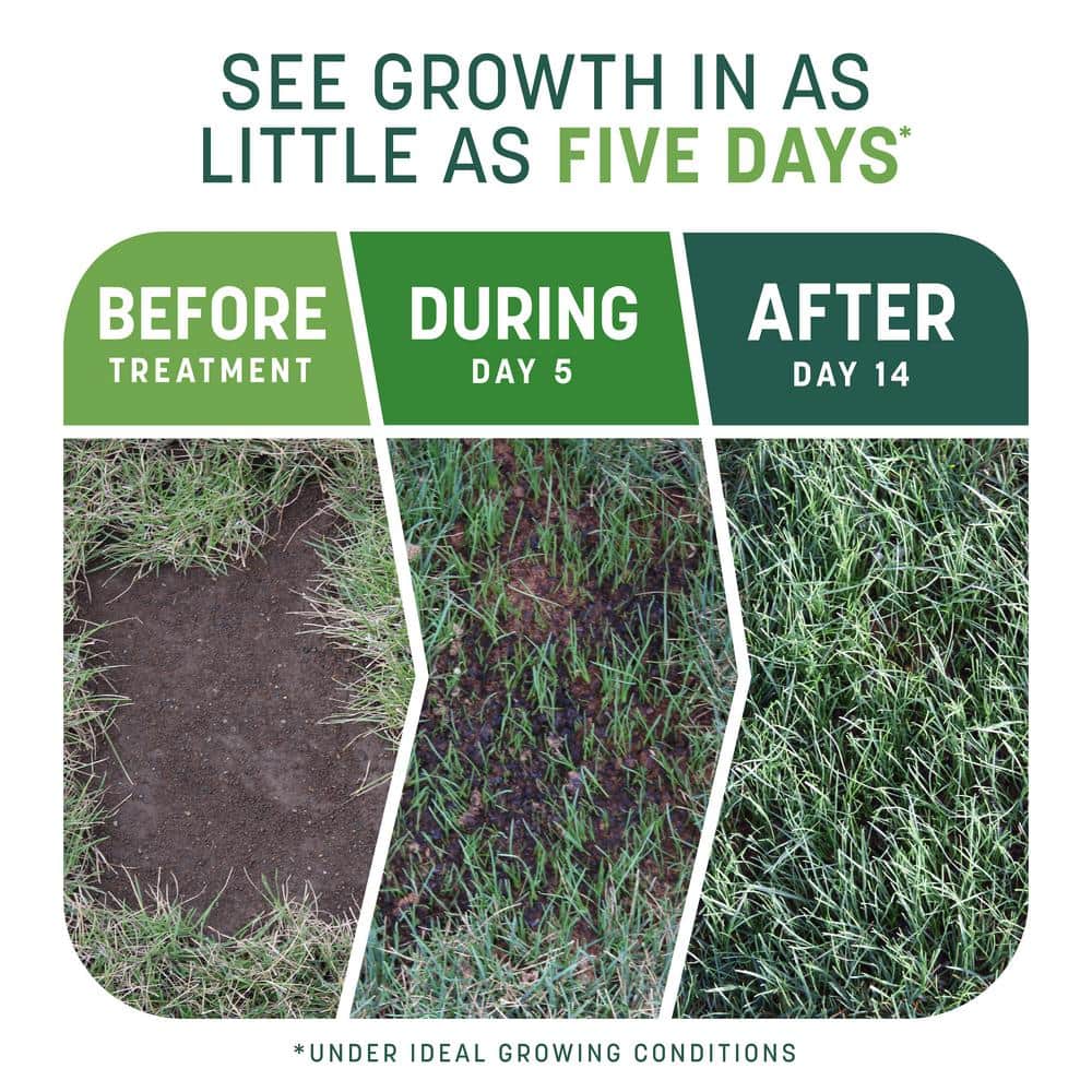 10 lbs. Smart Patch Sun and Shade West Grass Seed with Mulch, Fertilizer - Hercitys