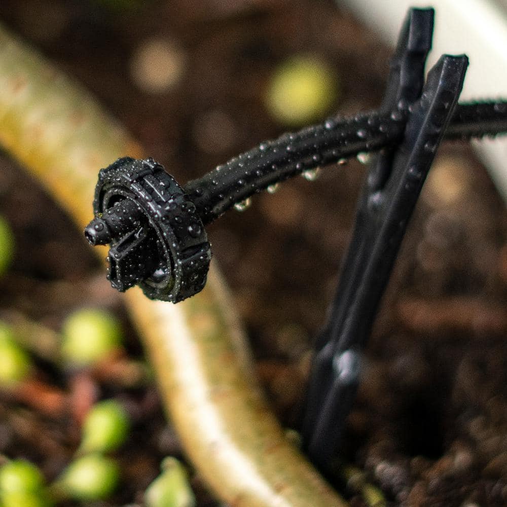 1 GPH Button Dripper (100-Pack) - Hercitys