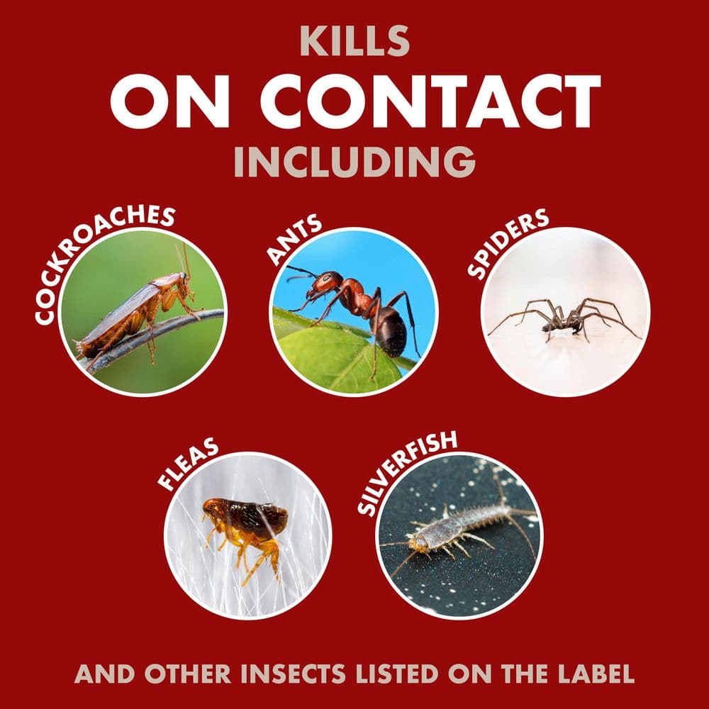 1.3 gal. Bug Stop Home Barrier with AccuShot Sprayer Insect Killer - Hercitys