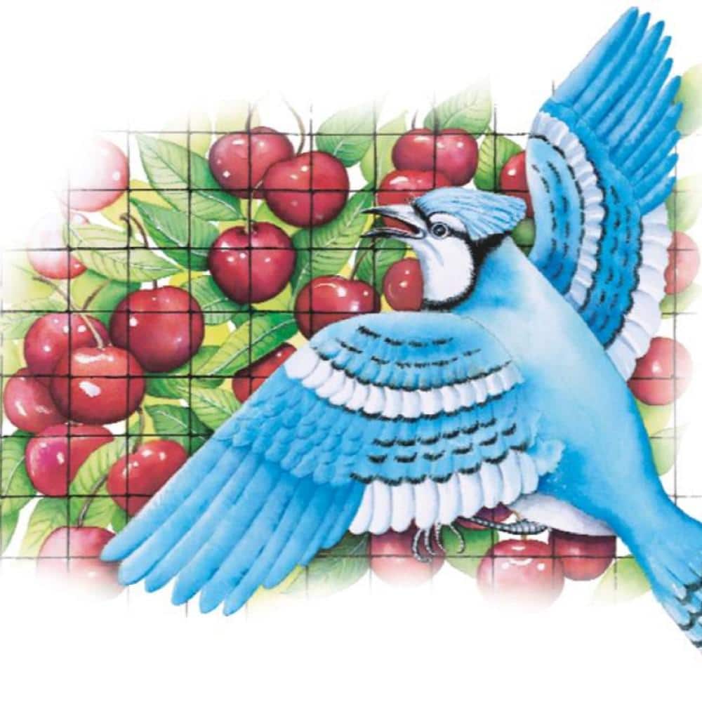 14 ft. x 45 ft. Netting and 5/8 in. Polypropylene Mesh - Hercitys