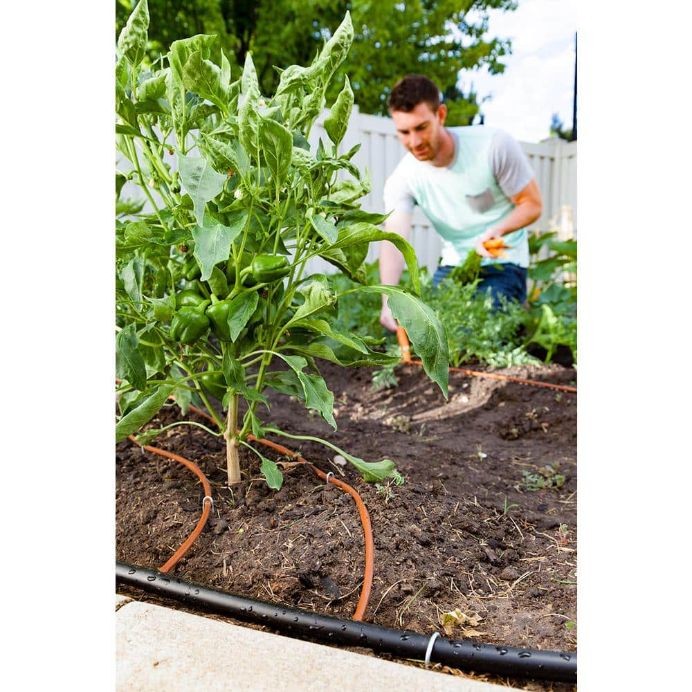 1/4 in. x 100 ft. Distribution Tubing - Hercitys