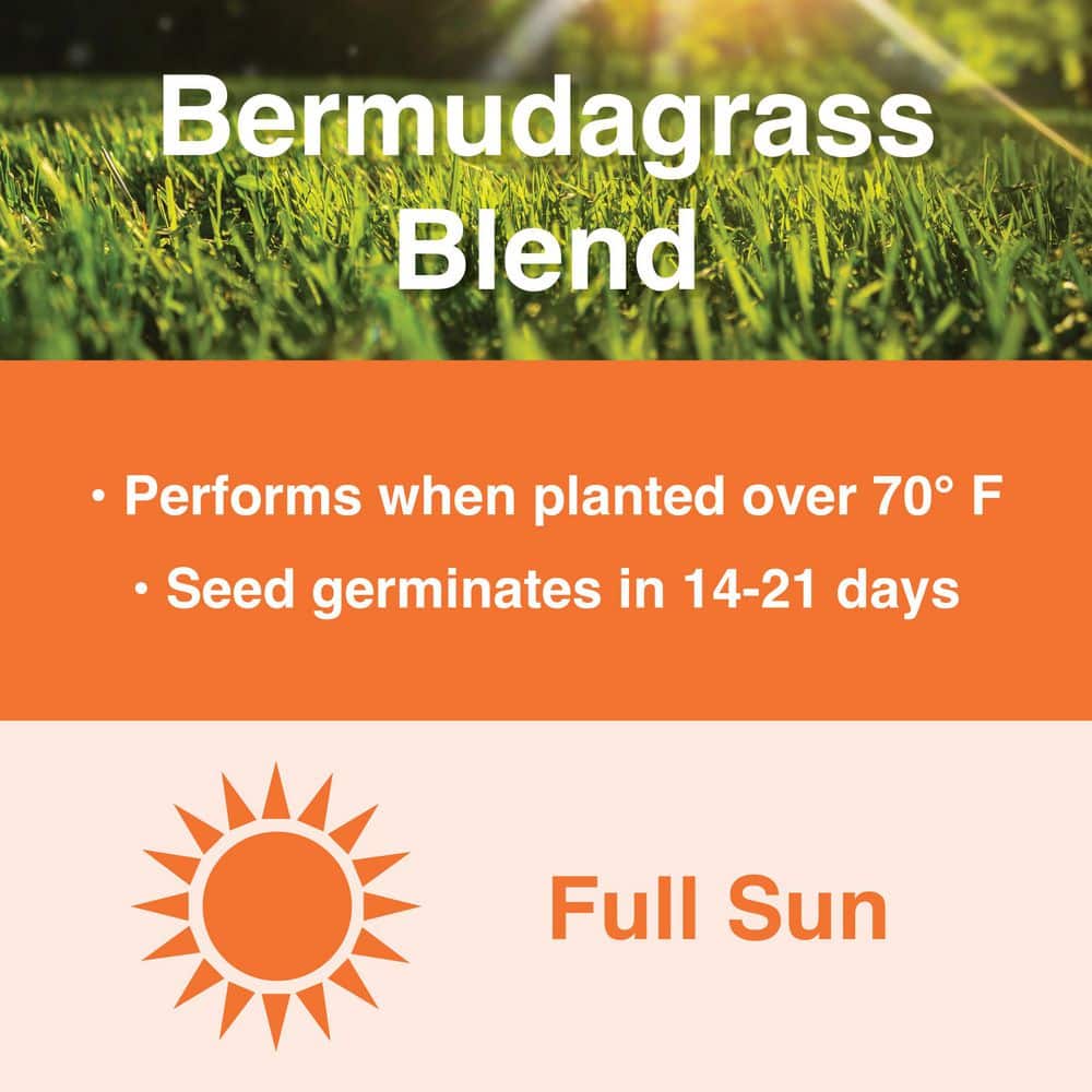 5 lbs. Bermuda Grass Seed Blend with Water Saver Seed Coating - Hercitys