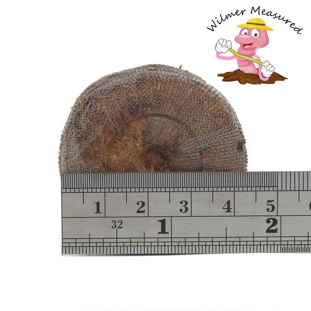 42 x 65 mm PEAT Wilmer Worm’s Seed Starting Pellets (24-Pack) - Hercitys