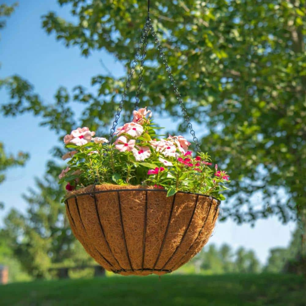 14 in. Dia Black Metal Growers Hanging Basket with Coco Liner - Hercitys