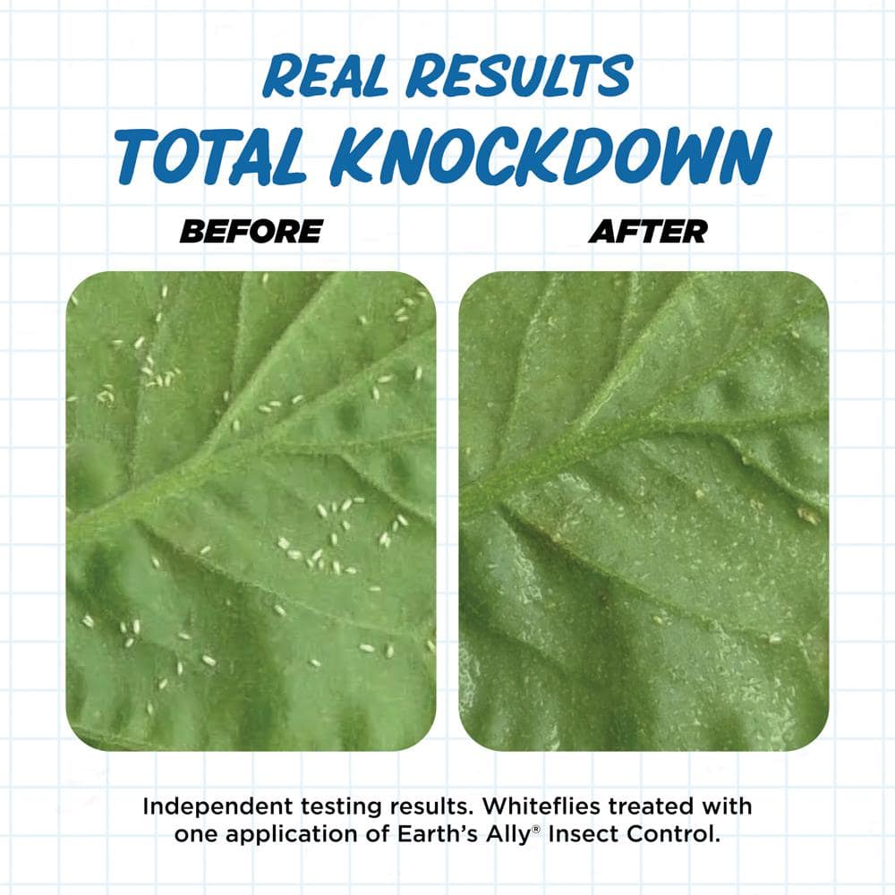 1 qt. Concentrate Miticide, Insect Control - Hercitys