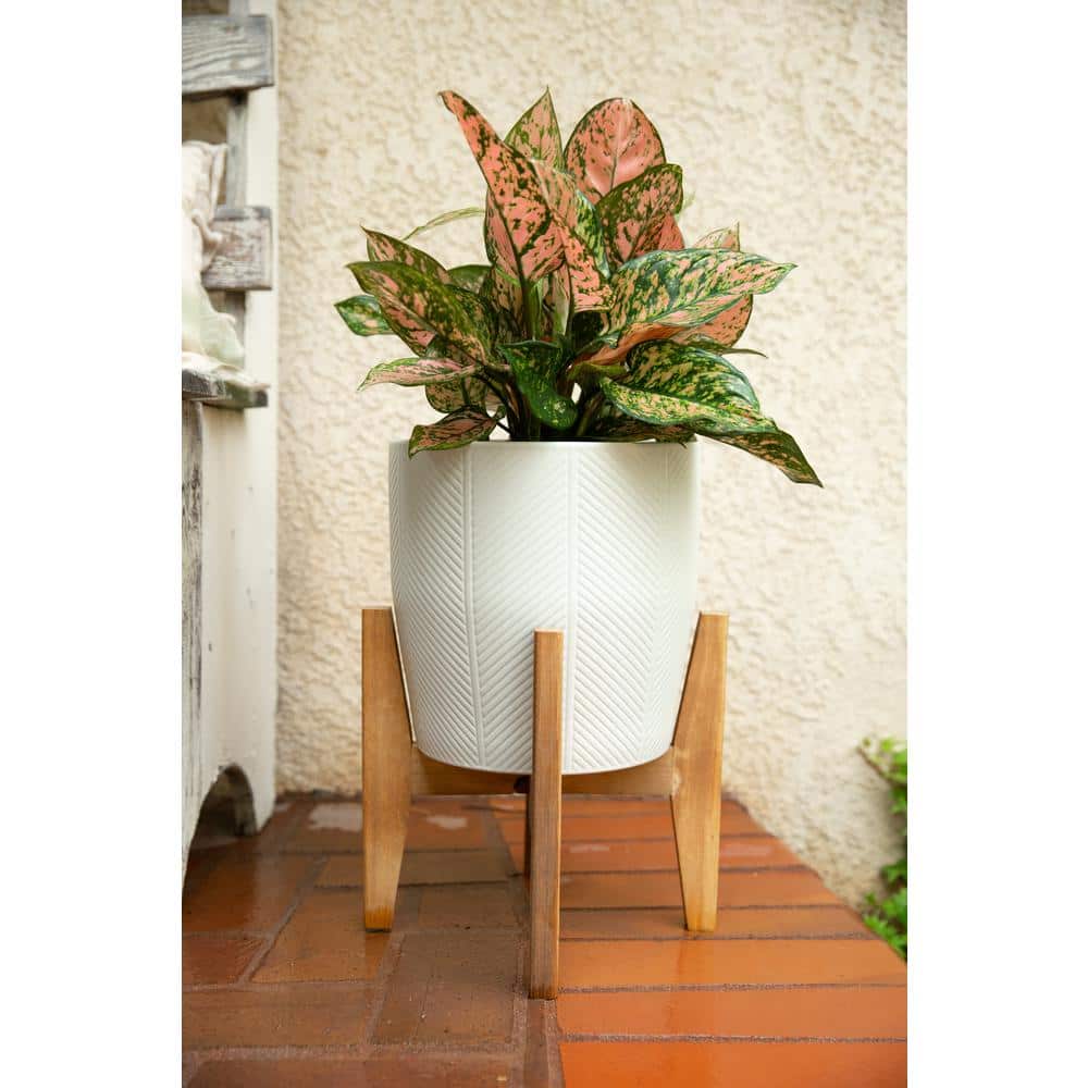 10 in. and 6.6 in. Matte White Chevron Ceramic Plant Pot on Wood Stand Stand Mid Century Planter (Set of 2) - Hercitys