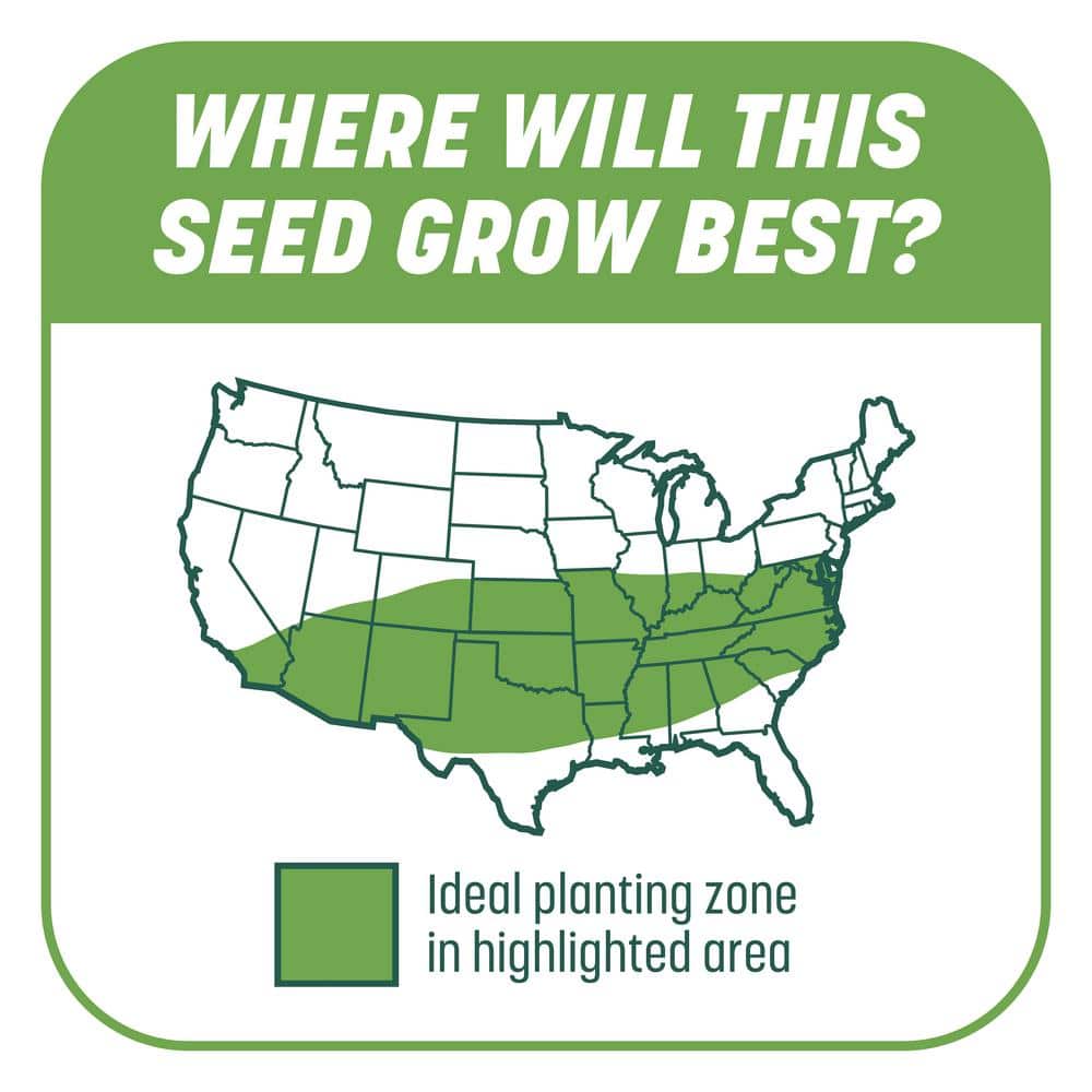 10 lbs. Smart Patch Tall Fescue West Grass Seed with Mulch, Fertilizer - Hercitys