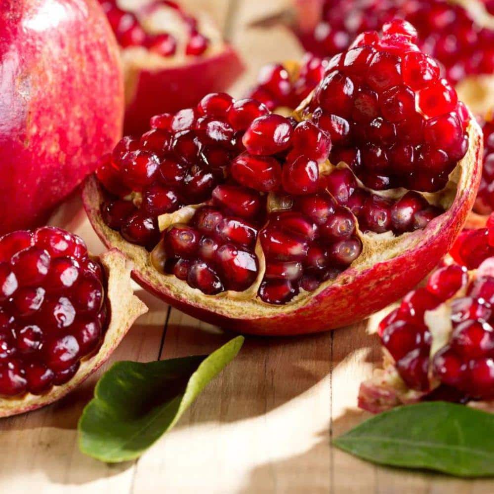 1 Gal. Parfianka Pomegranate Tree - Hercitys