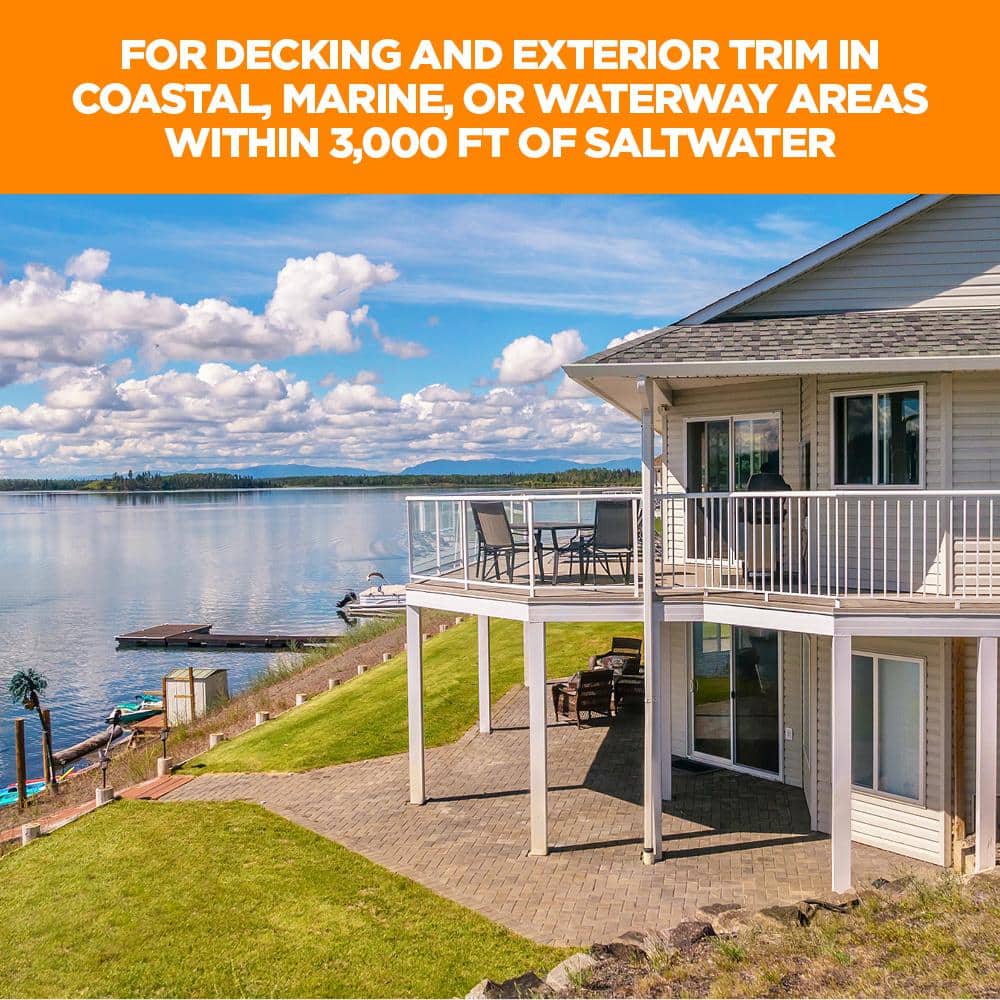 1-5/8 in. #8 316 Stainless Steel Sand Premium Star Drive Trim Screws (100-Count) - Hercitys