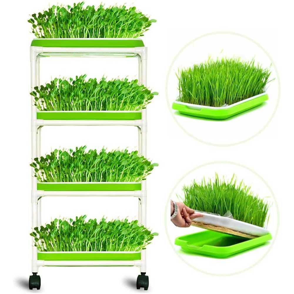 4-Layer Sprout Trays Extra Strength Plastic Shelf Soil-Free Wheatgrass Seeds Grower Storage Garden Home Office - Hercitys