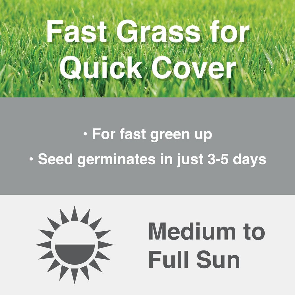 3 lbs. Fast Grass Seed Mix (2-Pack) - Hercitys