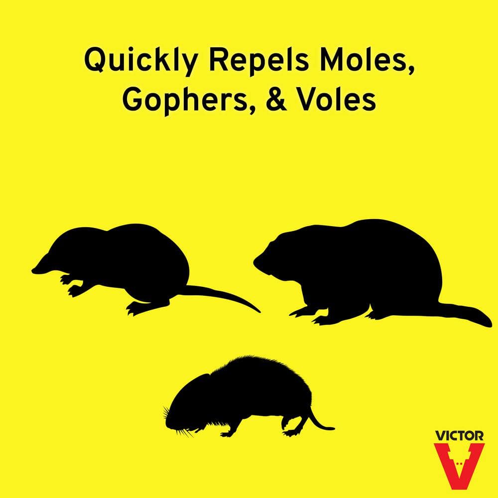 32 oz. Ready-To-Use Mole and Gopher Repellent Spray - Hercitys