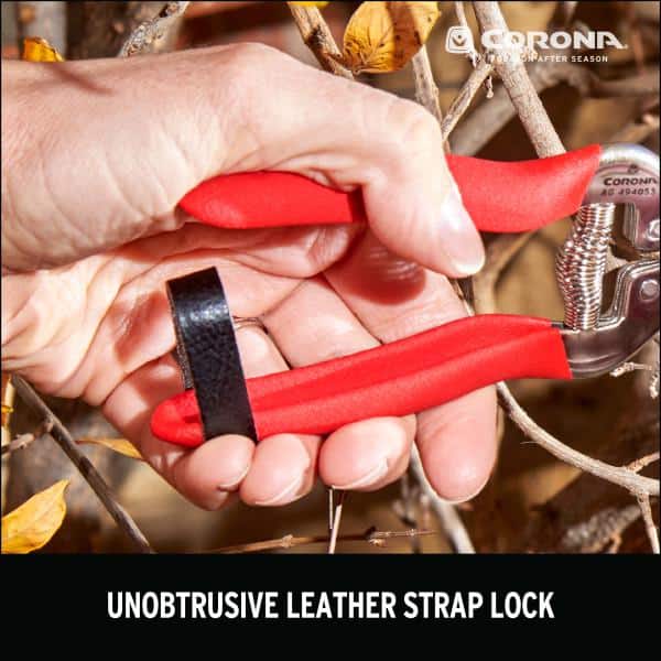 1.75 in. Stainless Steel Long Curved Snips - Hercitys