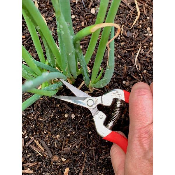 1.75 in. Stainless Steel Long Straight Snips - Hercitys