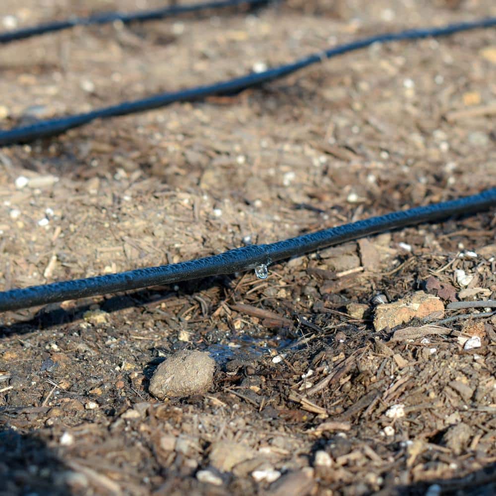 1/4 in. x 100 ft. Dripline with 12 in. Emitter Spacing - Hercitys