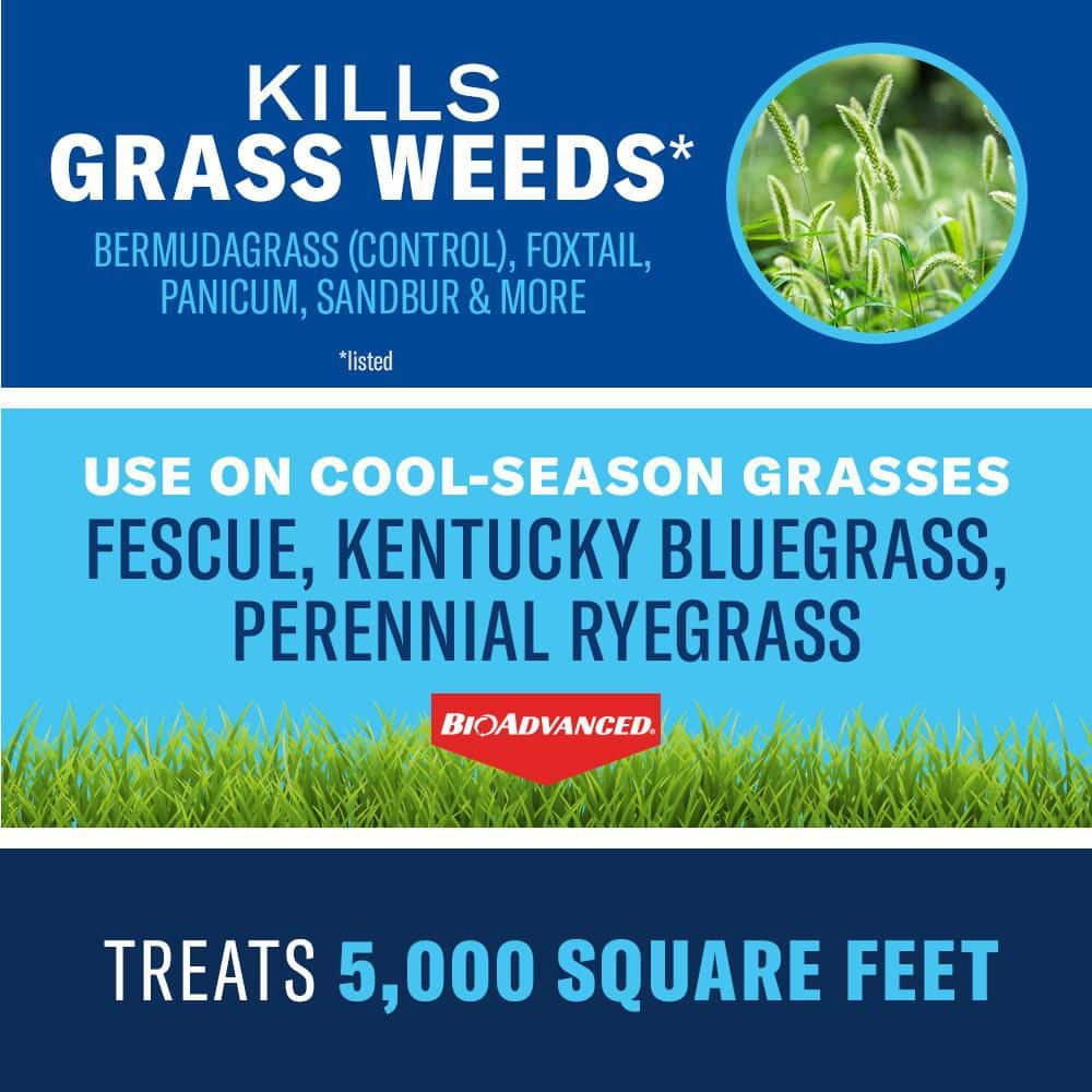 32 oz. Ready-to-Use Bermudagrass Control for Lawns - Hercitys