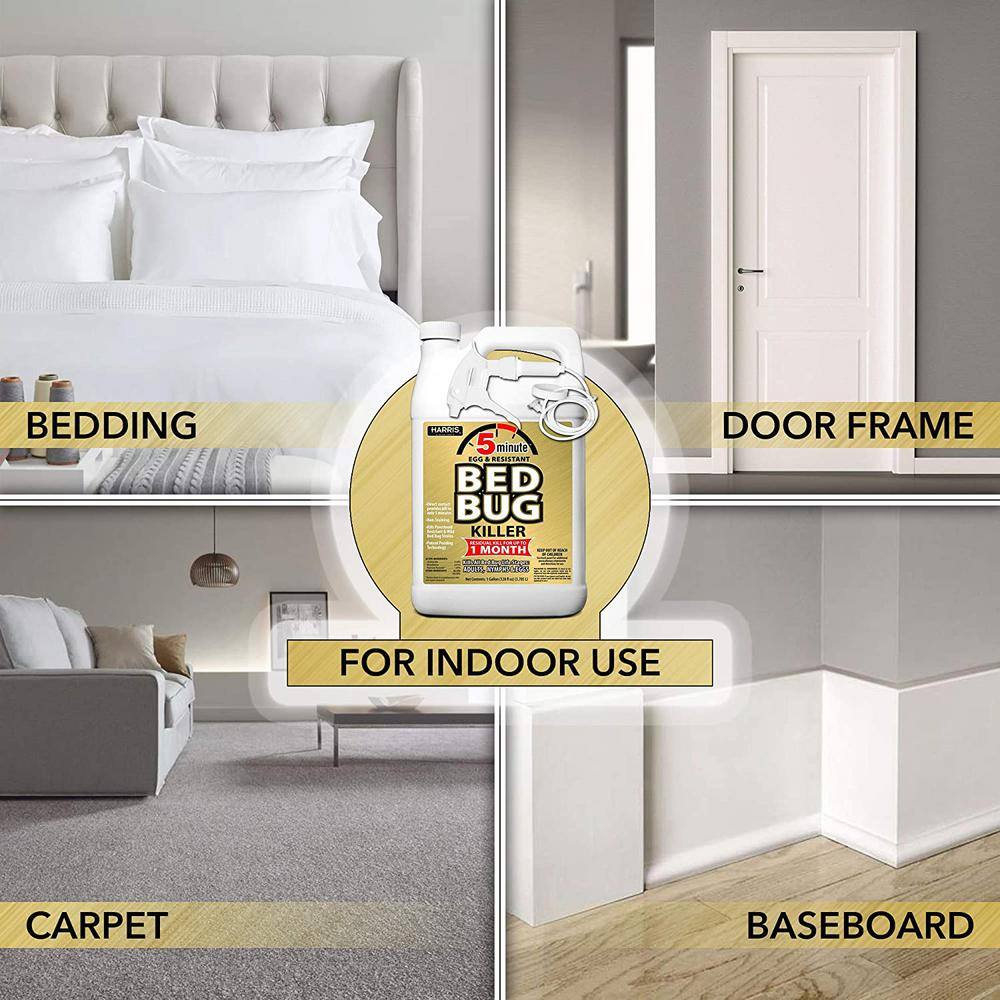 1 Gal. 5-Minute Bed Bug Killer (2-Pack) 256 oz., 32 oz. Professional Spray Bottle and 55 oz. Pump Sprayer Value Pack - Hercitys