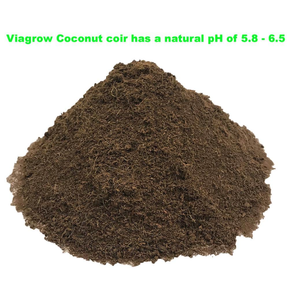 11 lb. (5KG) Coconut Coir Block of Soilless Media - Hercitys