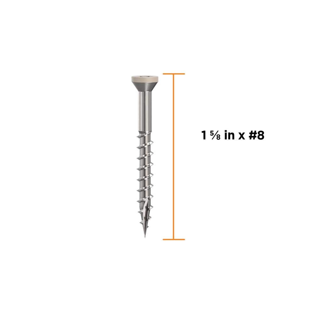 1-5/8 in. #8 316 Stainless Steel Sand Premium Star Drive Trim Screws (100-Count) - Hercitys