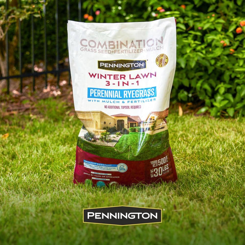 30 lbs. Winter Lawn 3-in-1 Perennial Ryegrass with Mulch and Fertilizer - Hercitys