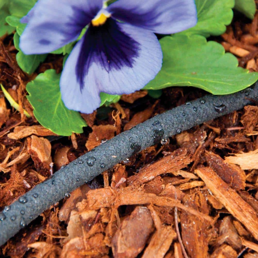 1/4 in. x 50 ft. Porous Drip Soaker Hose - Hercitys