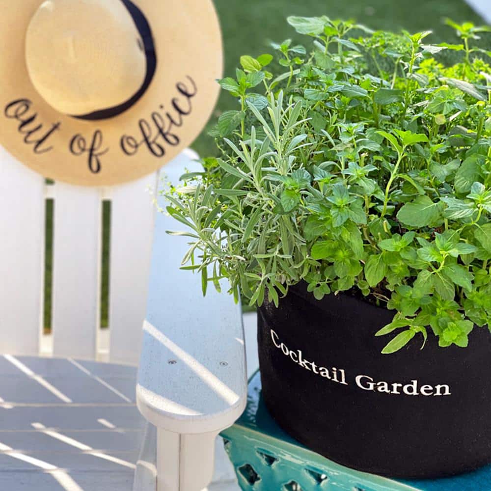 5 Gal. Portable Outdoor Container Cocktail Garden Grow Bag Kit with 4 Seasonal Herb Plants - Hercitys