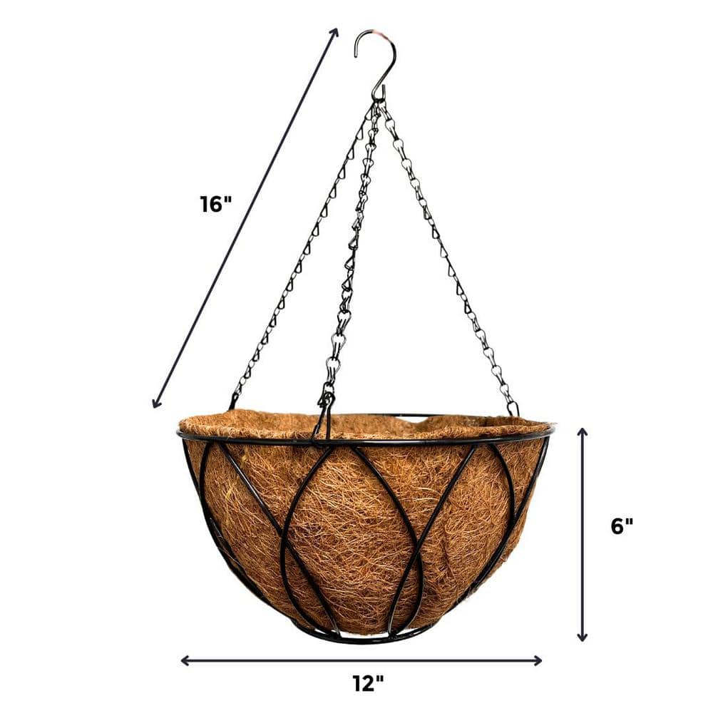 12 in. Steel Devon Hanging Basket with AquaSav Coconut Liner - Hercitys