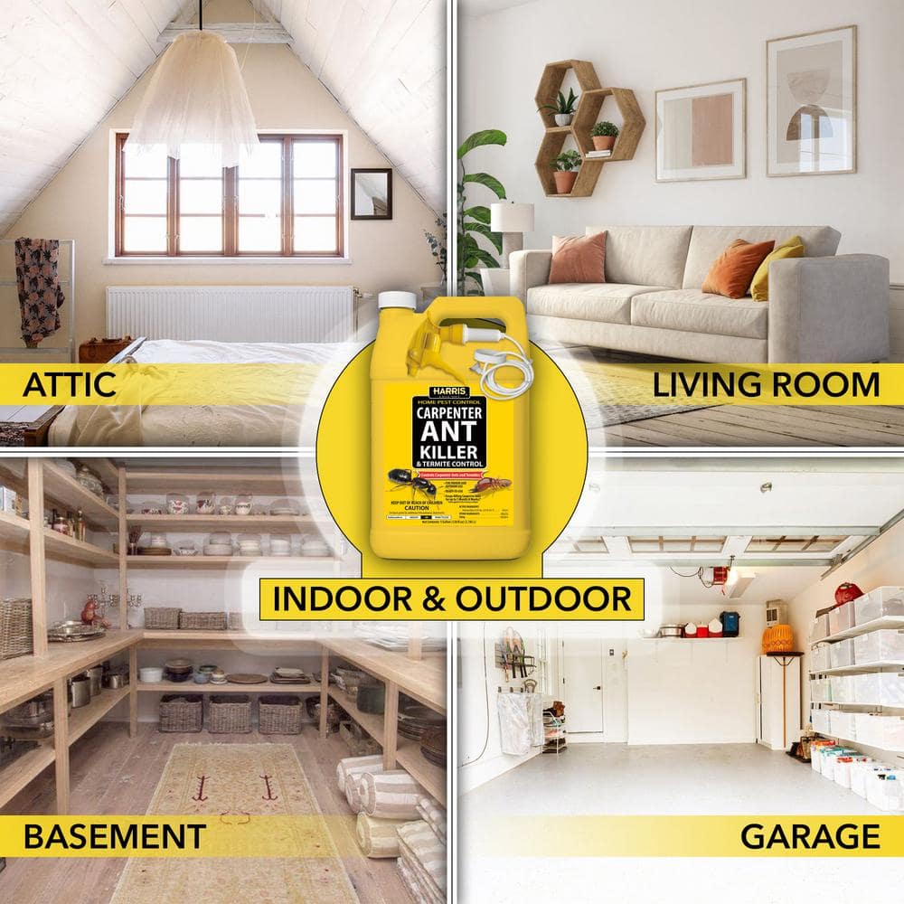 128 oz. Carpenter Ant Killer and Termite Control Treatment Spray (2-Pack) - Hercitys