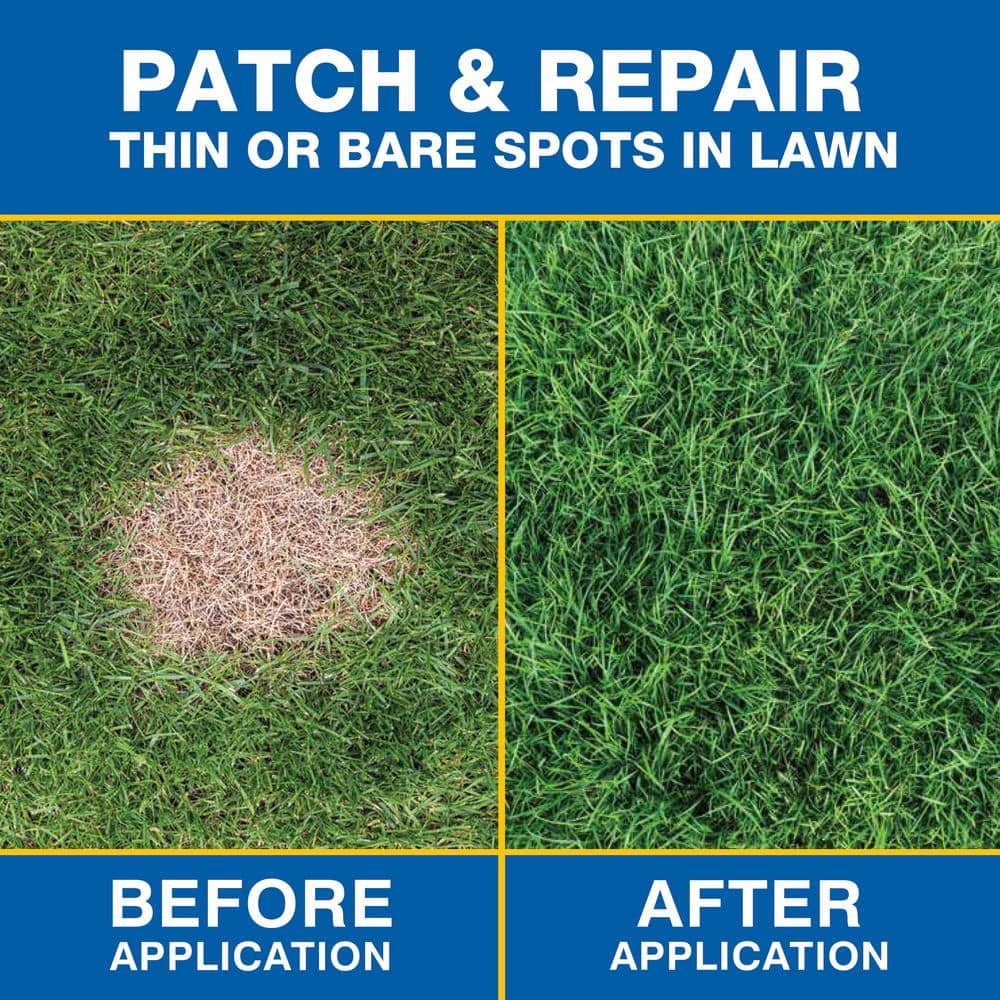 10 lb. Patch and Repair Sun and Shade Grass Seed Mix - Hercitys