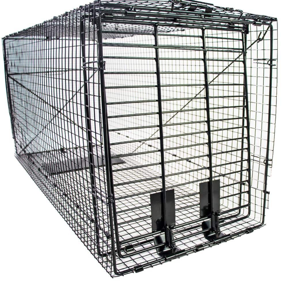 50 in. Super Size Collapsible Animal Cage Trap - Hercitys