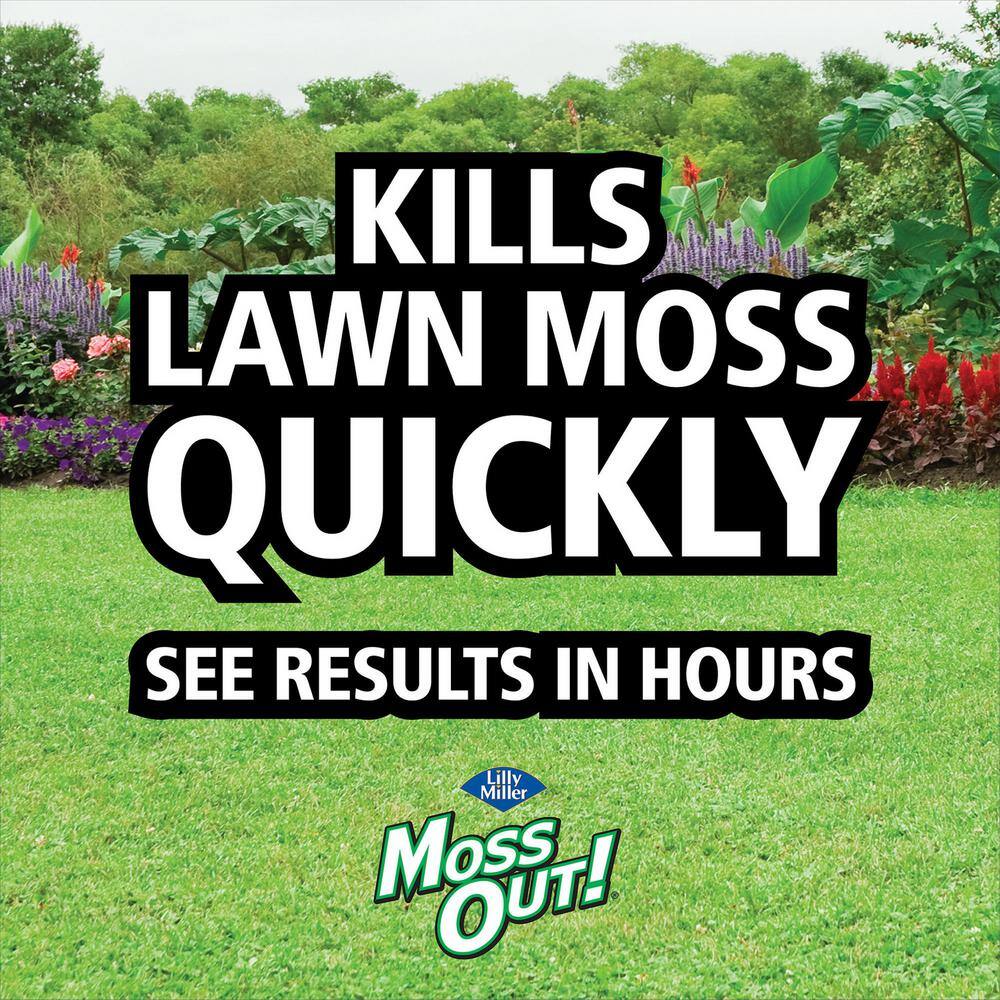 5 lb. 1,250 sq. ft. Lawn Moss Killer Granules Spot Treatment - Hercitys
