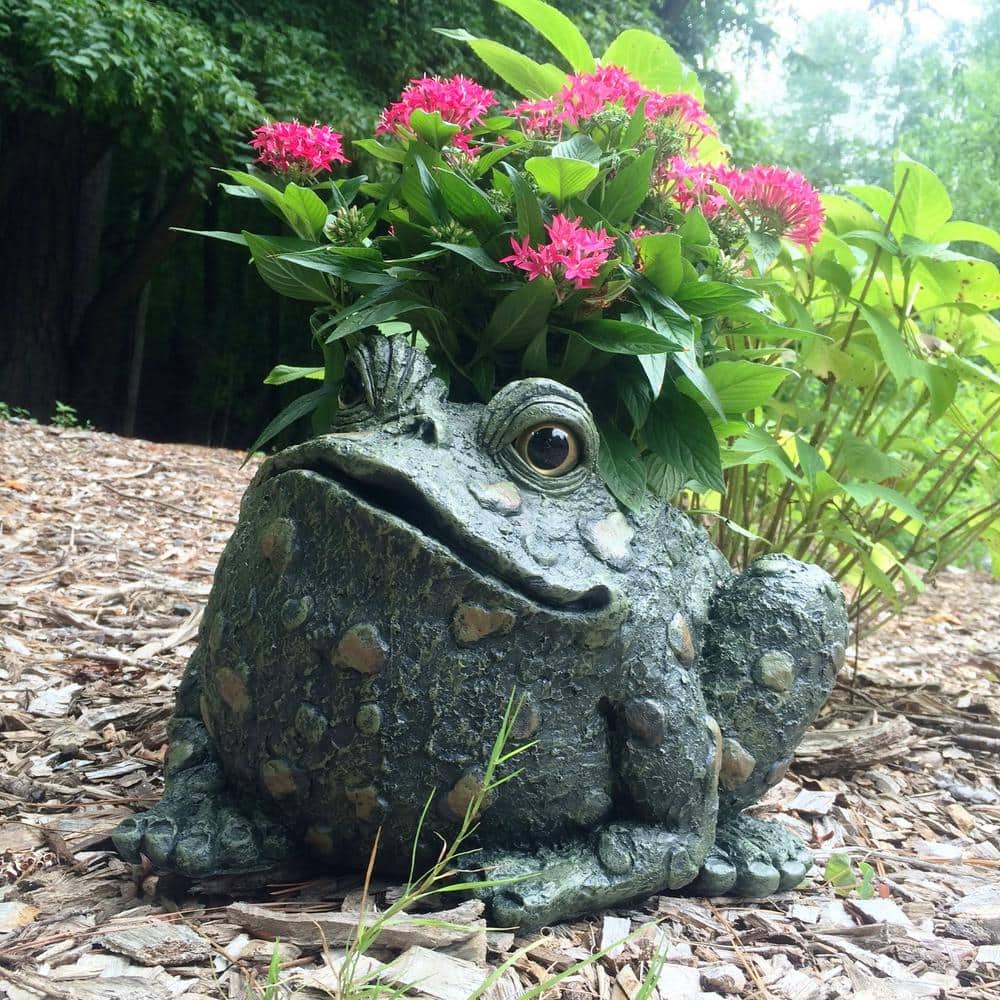 10 1/2 in. Toad Planter Garden Frog Statue (Holds 6 in. Pot) - Hercitys