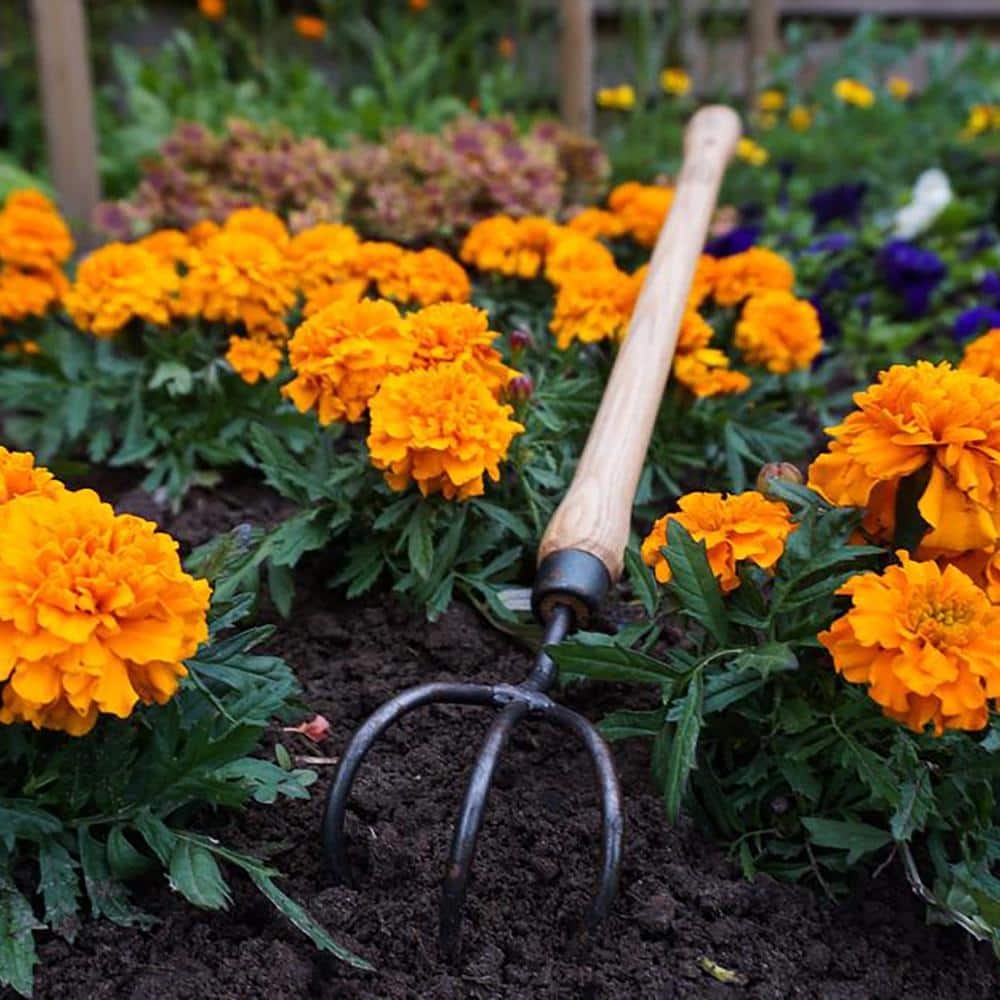 19 in. Handle 3-Tine Drop Grip Handle Cultivator - Hercitys